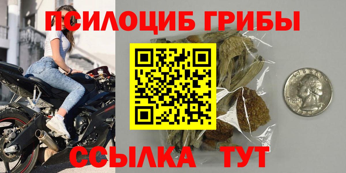 Владикавказ  Псилоцибиновые грибы мицелий  Вход с VPN 